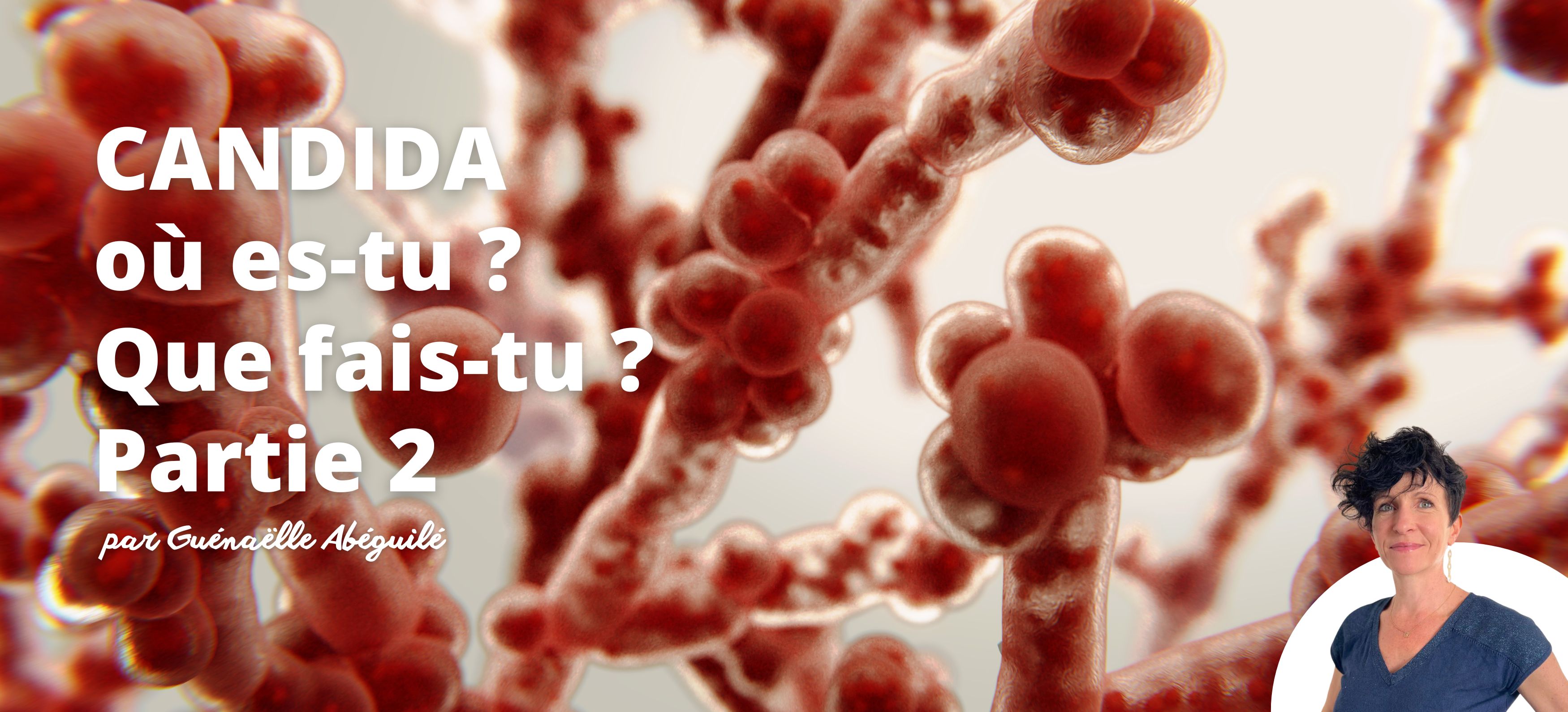 Candida où es-tu ? Que fais-tu ? par Guénaëlle Abéguilé – Partie 2