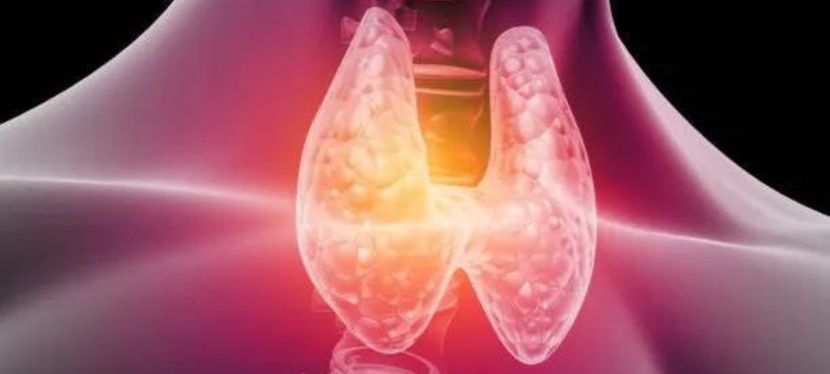 Hypothyroïdie : Le point de vue de la santé fonctionnelle par Guénaëlle Abéguilé