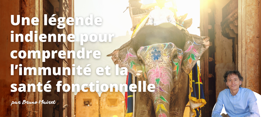 Une légende indienne pour comprendre l’immunité et la santé fonctionnelle… Par Bruno Mairet