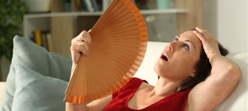 Bouffées de chaleur, troubles de la ménopause : traitement naturel ou THS ? par Guénaëlle Abéguilé