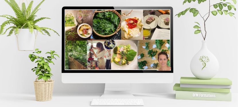 Assiette Pratik en Hormono E-Learning