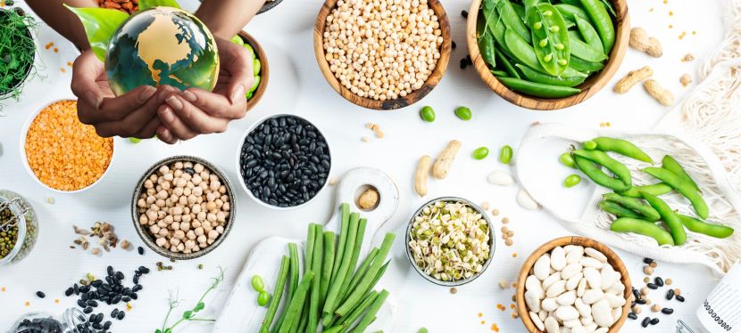 Nutri Pratik Pro