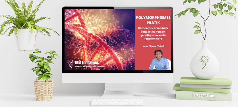 Polymorphismes Pratik en e-Learning