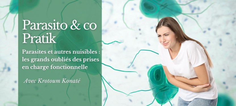 Parasito & Co Pratik